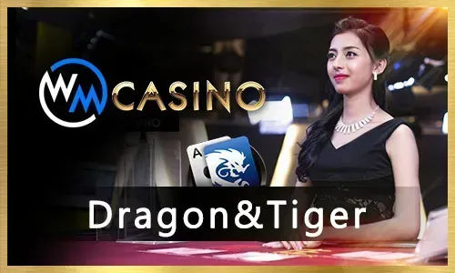 tg777 E-Wallet Deposit Options